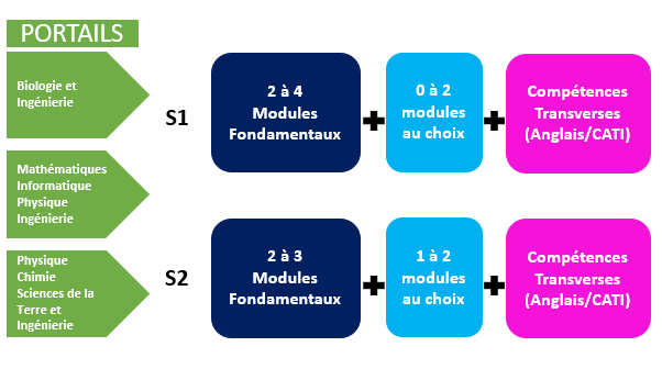 Schéma L1