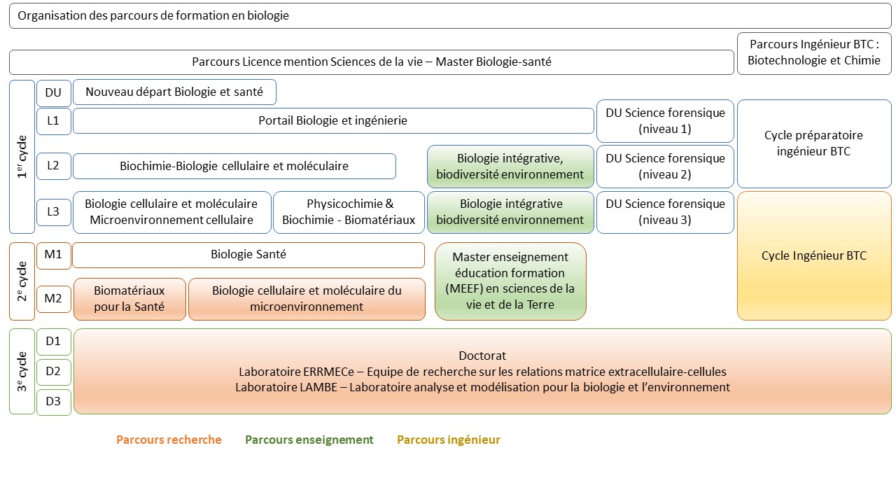 organisation des parcours de formation en biologie