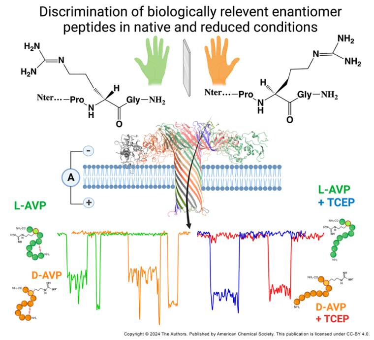 Identifier et détecter un peptide biomarqueur et son énantiomère par nanopore