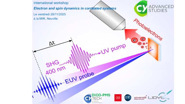 Dynamique des électrons et des spins dans les systèmes corrélés