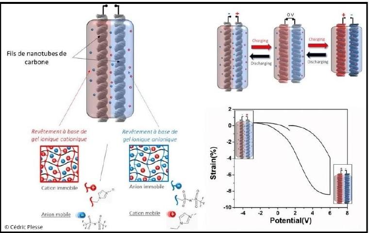 Linear contracting and air-stable electrochemical artificial muscles based on commercially available CNT yarns and ionically selective ionogel coatings