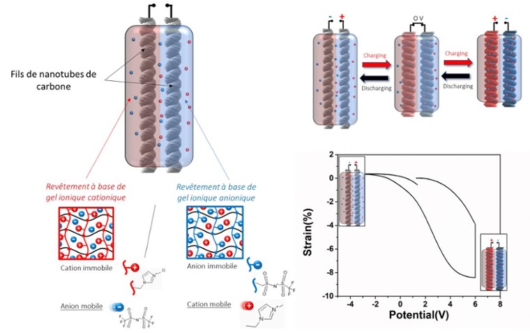 Linear contracting and air-stable electrochemical artificial muscles based on commercially available CNT yarns and ionically selective ionogel coatings